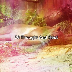 70 Thought And Rest album cover