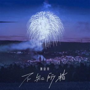 不知所措 album cover