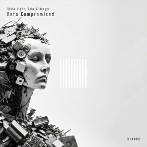Data Compromised album cover