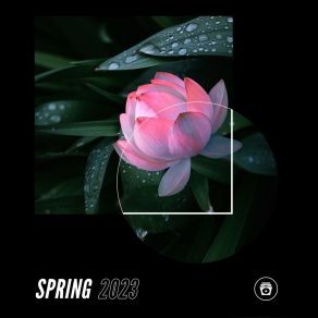 Spring 2023 album cover