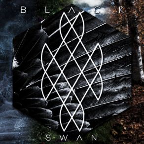 Black Swan album cover