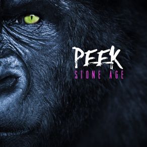 Stone Age album cover