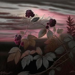 Dark Morning album cover