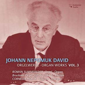 David: Selected Organ Works, Vol. 3 album cover