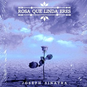 Rosa Que Linda Eres album cover