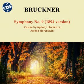 Bruckner: Symphony No. 9 (1894 Version) (Maxi-Single) album cover