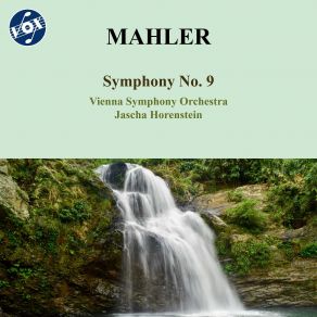 Mahler: Symphony No. 9 album cover