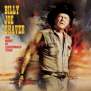 One Night At Luckenbach Texas album cover
