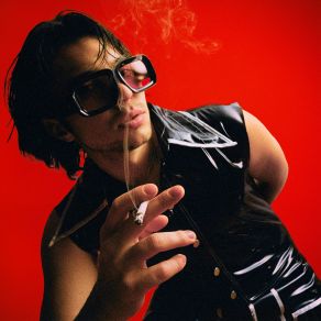 Wiener Schickeria album cover