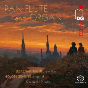 Pan Flute And Organ album cover