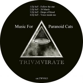 Music For Paranoid Cats album cover