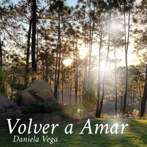 Volver A Amar album cover
