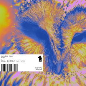Bird album cover