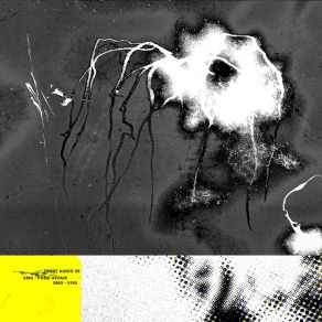 Pond Affair / Viya album cover