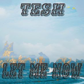 Let Me Now album cover