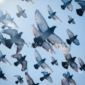 The Shape Of Wind album cover
