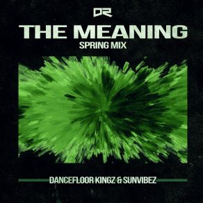 The Meaning (Spring Mix) album cover