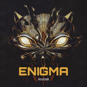 Enigma album cover