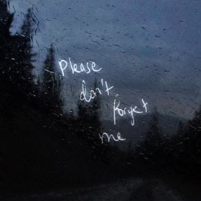 Please Don't Forget Me album cover