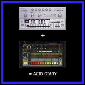 Acid Diary album cover
