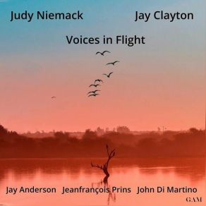 Voices In Flight album cover