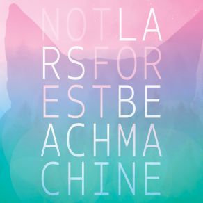 Forest Beach Machine album cover