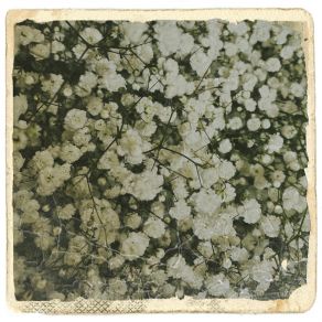 Camposanto De Mármol album cover