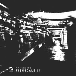 Fishscale album cover