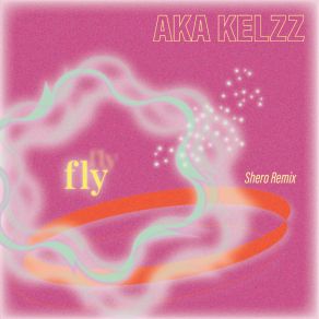 Fly Remixes album cover