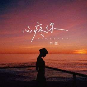 心疼你 album cover