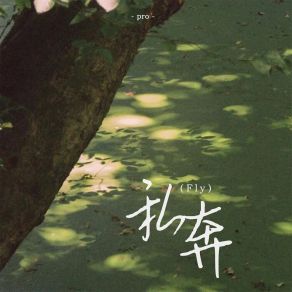 私奔 (Fly) album cover