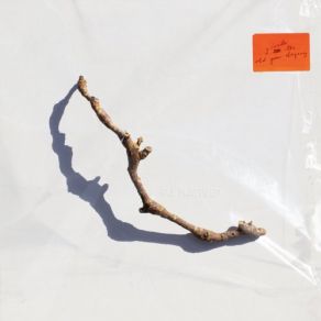 I Inside The Old Year Dying album cover