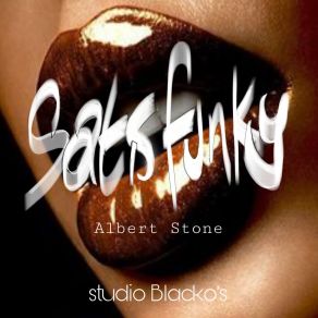 Satisfunky album cover