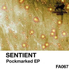 Pockmarked album cover