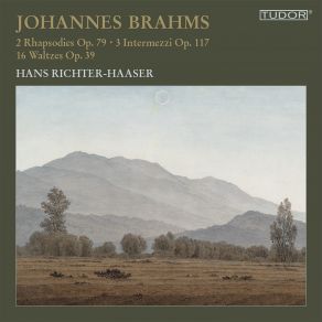 Johannes Brahms: 2 Rhapsodies Op. 79 · 3 Intermezzi Op. 117 · 16 Waltzes Op. 39 - Hans Richter-Haaser album cover