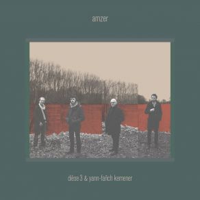 Amzer album cover