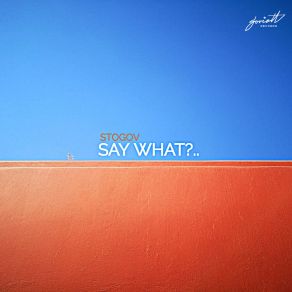 Say What?.. album cover