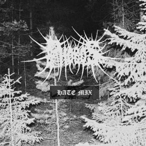 Hate Mix album cover