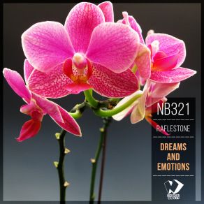 Dreams And Emotions album cover