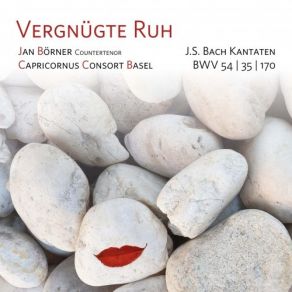 Vergnügte Ruh - Jan Borner & Capricornus Consort Basel album cover