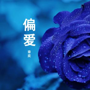 偏爱 album cover