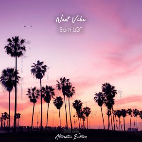 Next Vibe (Chill Mix) (Single) album cover