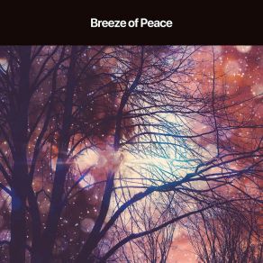 Breeze Of Peace album cover