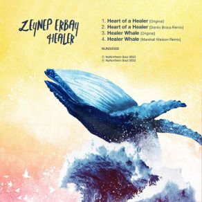 Healer album cover