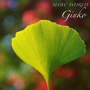 Ginko album cover