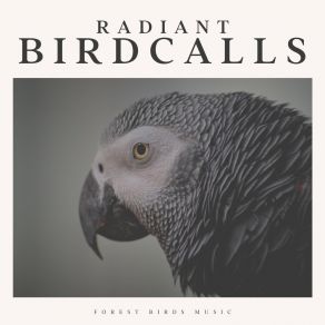 Radiant Birdcalls album cover