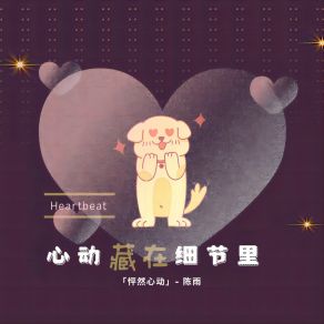 心动藏在细节里 album cover