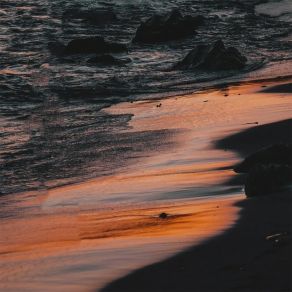 听悲伤的情歌 (0.8x) album cover