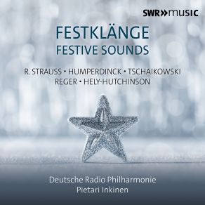 Festklänge (Live) album cover