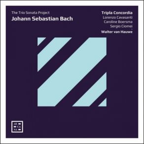 Walter Van Hauwe - Bach - The Trio Sonata Project album cover
